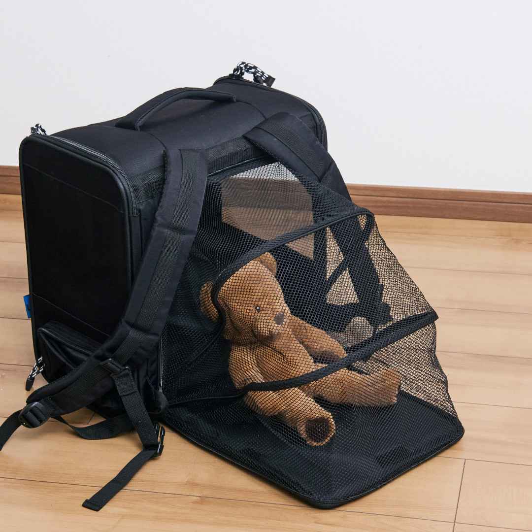 ��CBJAPAN���ޤ����ƥ������ˤ�ʤ���̥ڥåȥ��å�