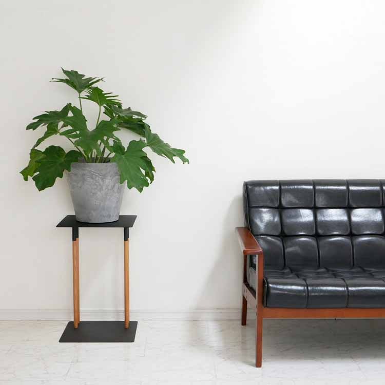 ��PLAIN�� �������ߥ����ɥơ��֥� �֥�å�