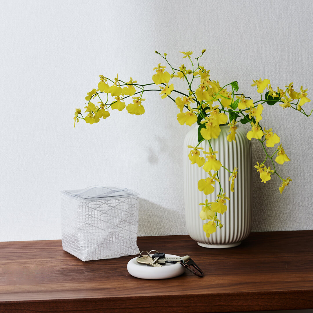 ��CARRY THE SUN�� ��������饤�� �ߥǥ�����