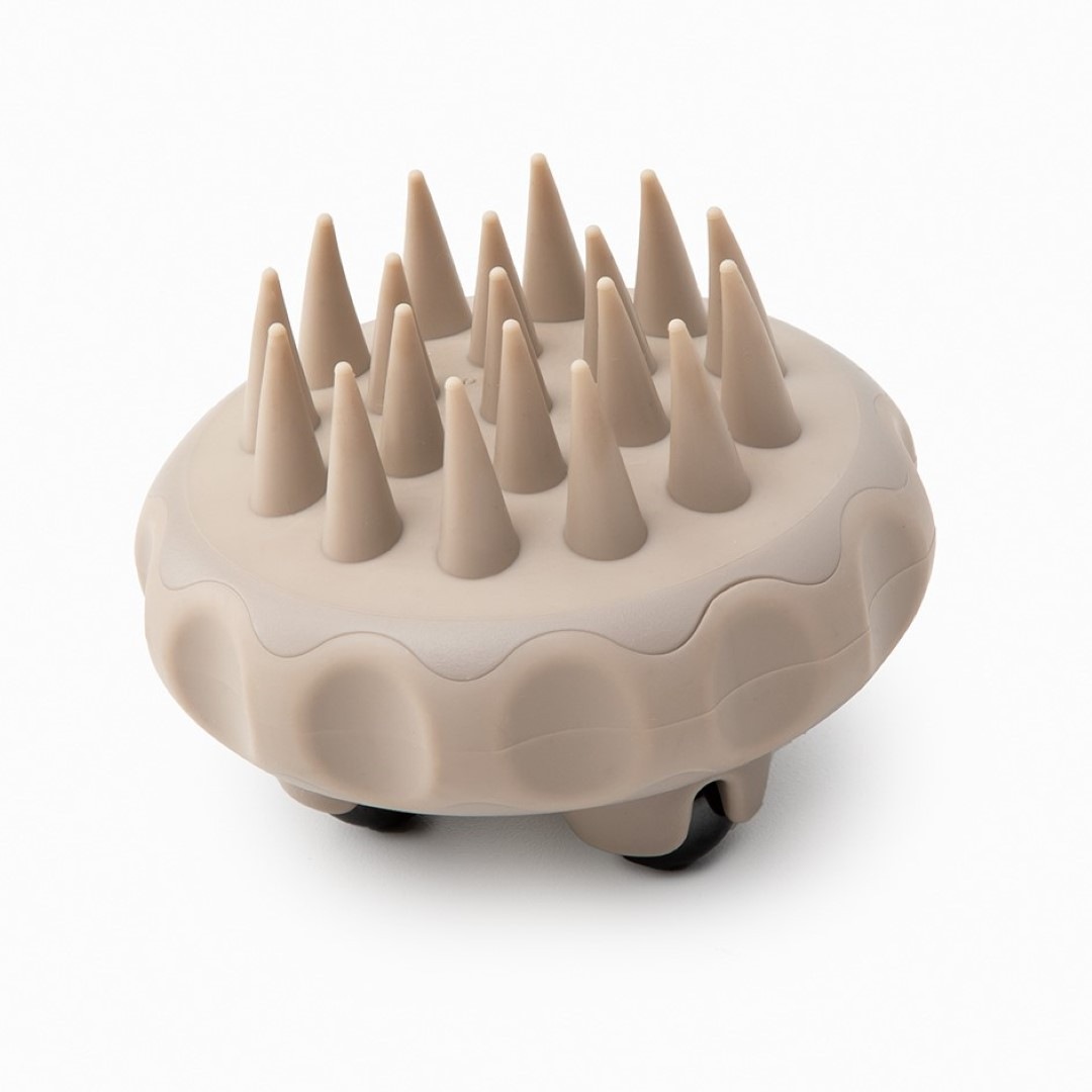 ��alphax�� �������