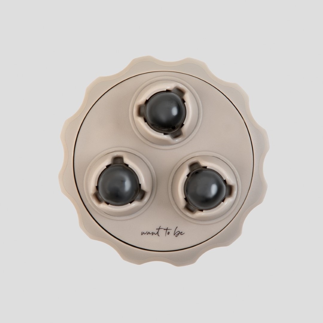 ��alphax�� �������