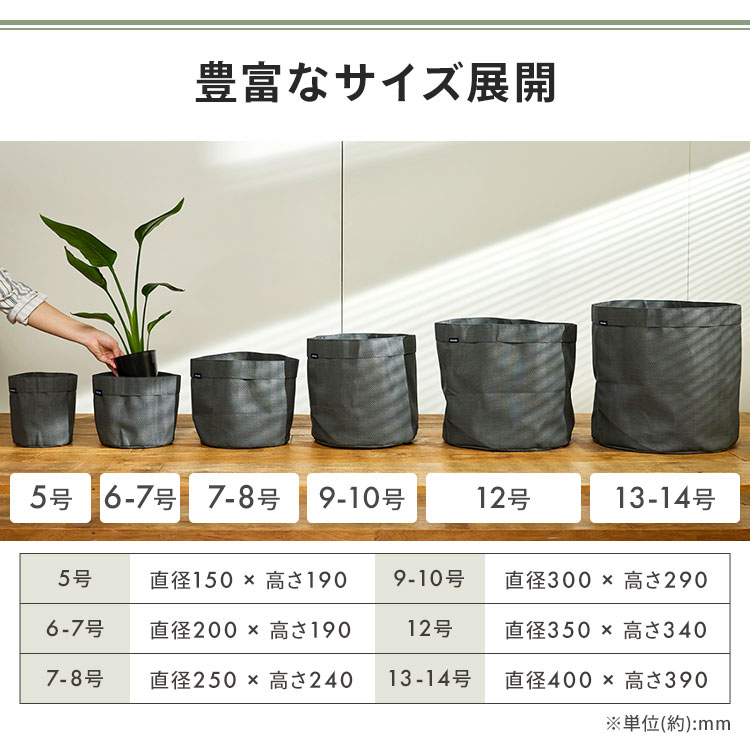 �ƥ���������ץ�󥿡����饦��ɡ�TXP-R15H����������5��