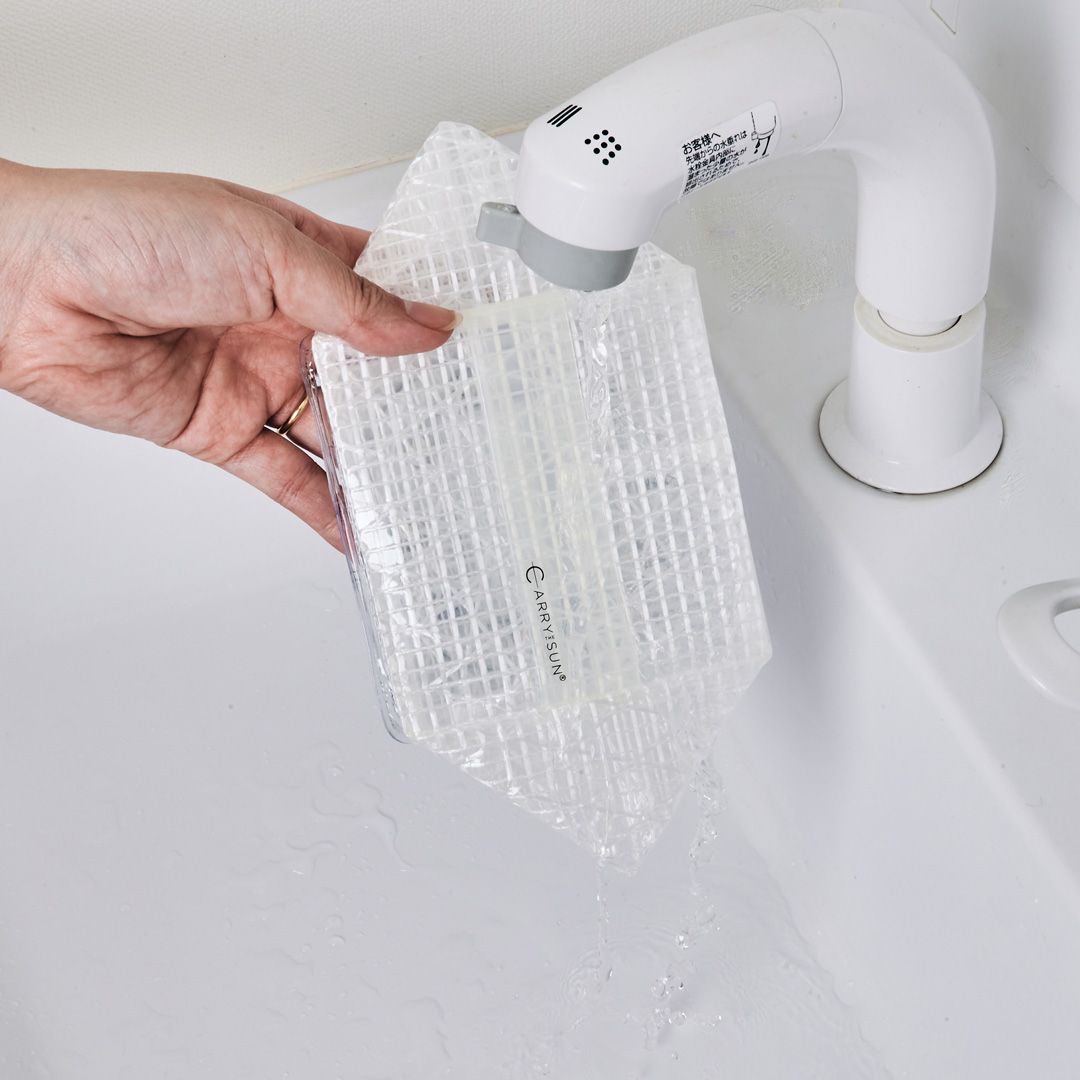 ��CARRY THE SUN�� ������֥饤�� �ߥǥ�����