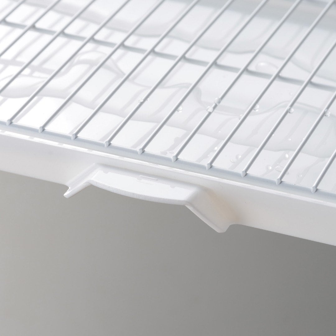 �ڥե����ȡ� ��С����֥�ȥ졼 ��Ω����