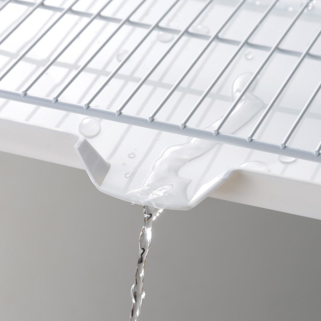 �ڥե����ȡ� ��С����֥�ȥ졼 ��Ω����