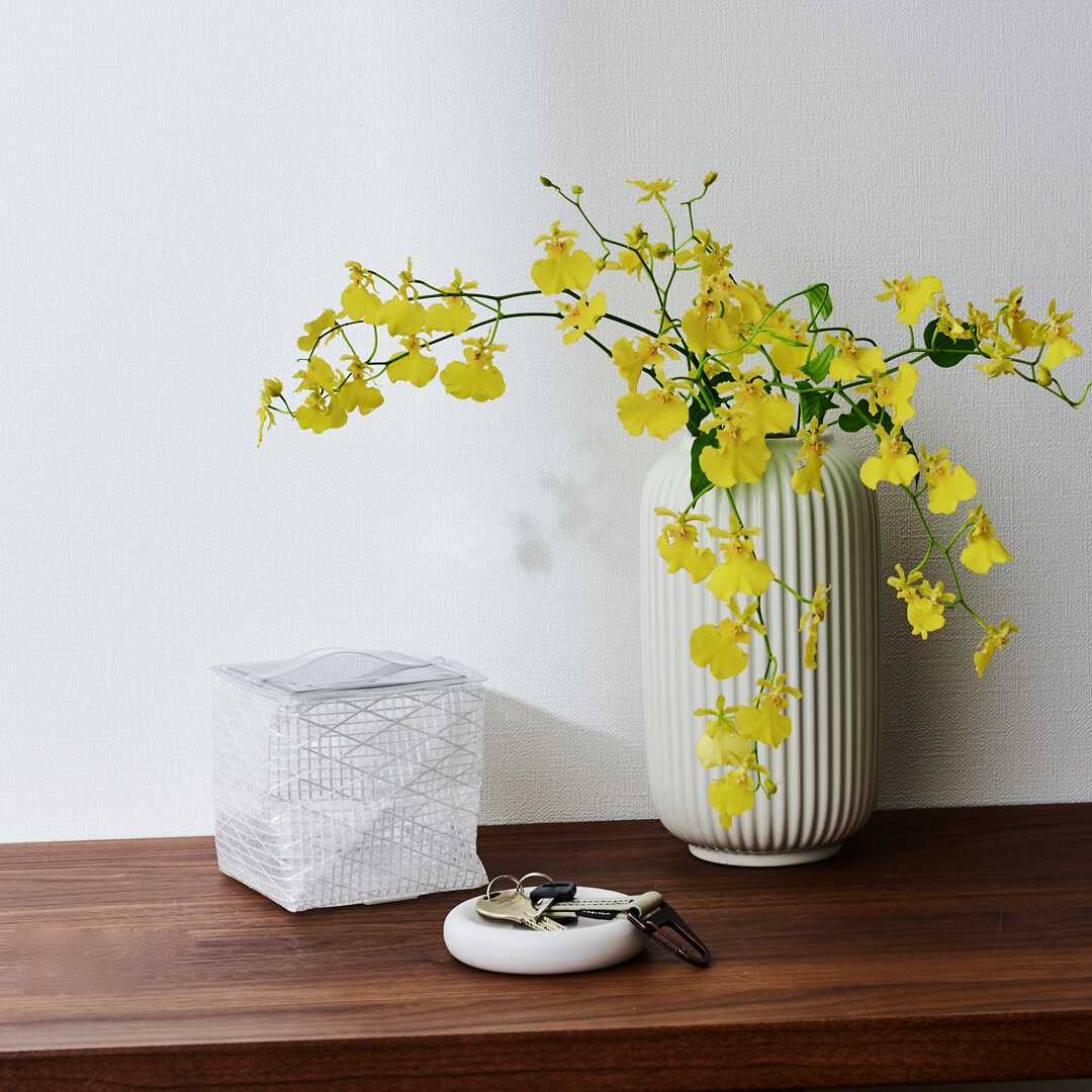 ��CARRY THE SUN�� ������֥饤�� ���⡼��