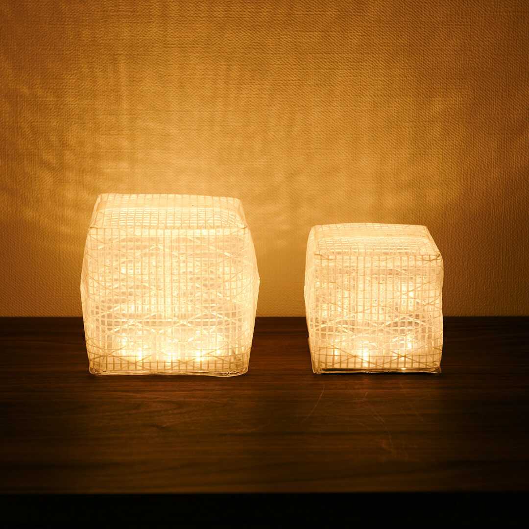 ��CARRY THE SUN�� ������֥饤�� ���⡼��