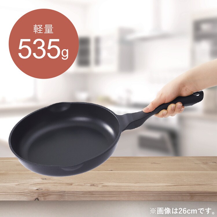 ̥ե饤ѥ 26cm  GVL-F26