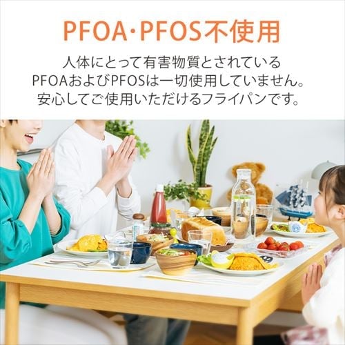 ̥ե饤ѥ󥬥б30cm VLG-F30 ֥å