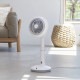 ڥꥹޡۥ졼 15cm  ۥ磻 STF-DCV15T