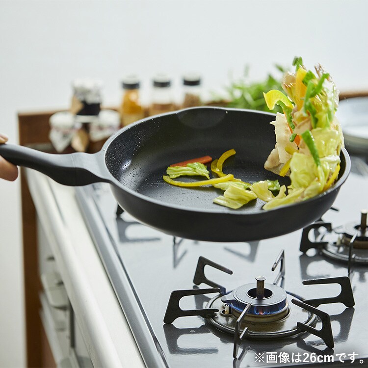 ���̥ե饤�ѥ� 28cm IVL-F28