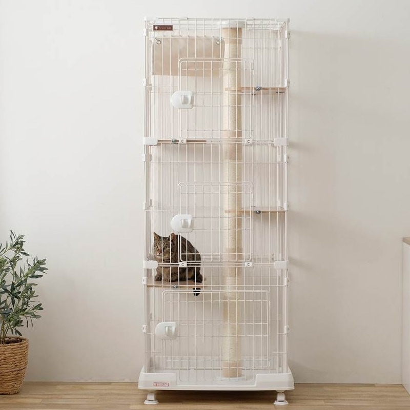 1_000000004982.jpg?1712819244