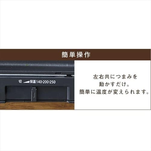 ڥꥹޡۥۥåȥץ졼 ξ 3 DPOL-301-B (ʿ/Ƥ 20/ǥץ)