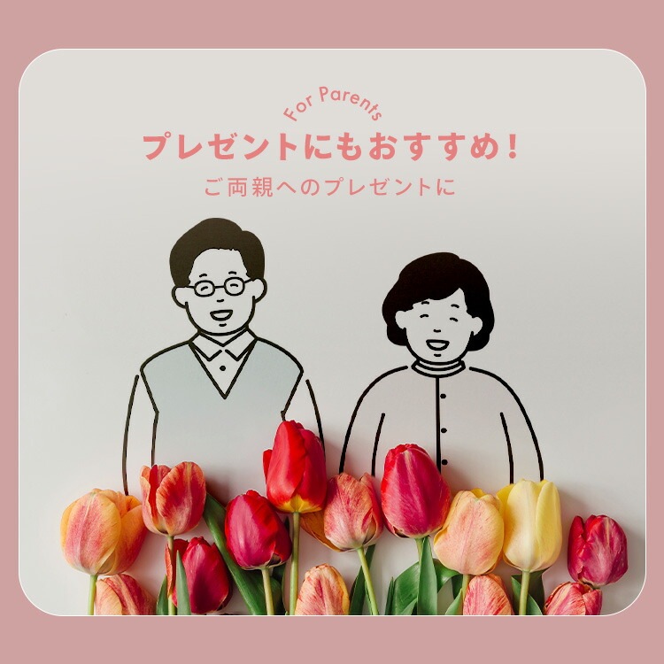 �ػ� ��ž�� �ꥯ�饤�˥� �ϥ��Хå� �쥶��Ĵ LECN-KHB