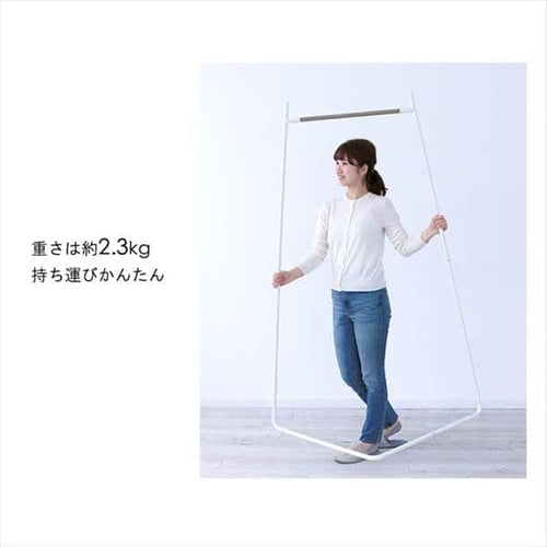 ڥꥹޡۥϥ󥬡 ʡ PI-C150
