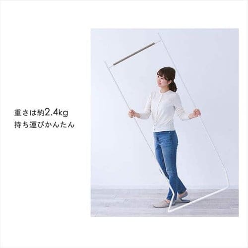 ڥꥹޡۥϥ󥬡 ١å PI-B150