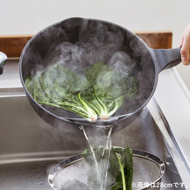 ̥ե饤ѥ 26cm   դ GVL-D26-S2