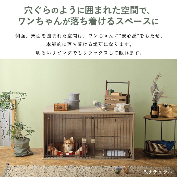 5_000000004789.jpg?1712820117