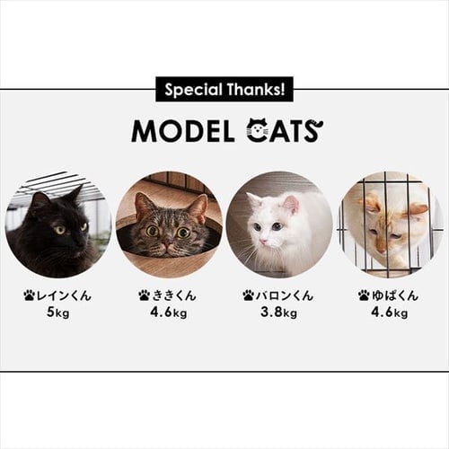 アイリスオーヤマ】隠れ家キャットランドケージPKC-800マットブラウン