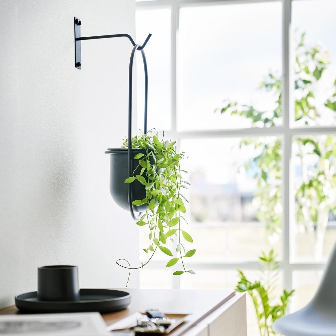 16_000000006593.jpg?1721364617