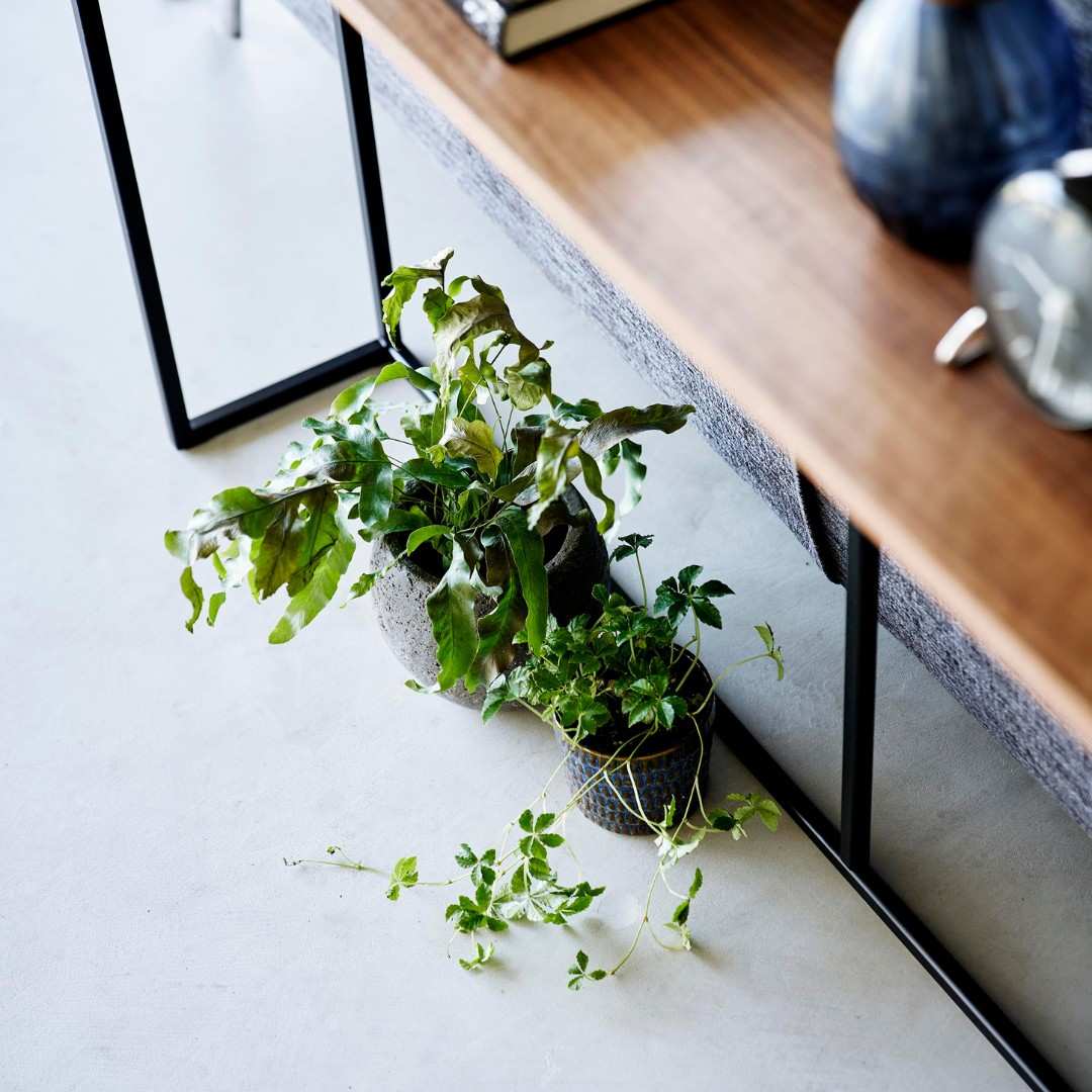 ��tower�� ���ե���΢���󥽡���ơ��֥�