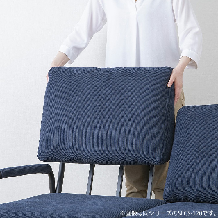 ��ͳݤ� �����ǥ�������ե� SFCS-120