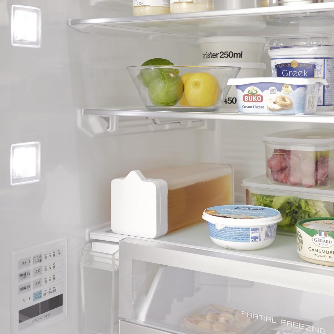 ��tower�� �ݤ����֤�������� �ƥ����Хå������դ�