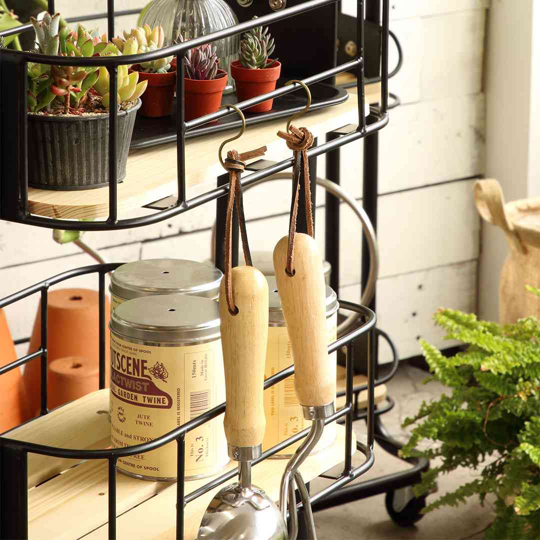��Mash�� BY CAGE WAGON 440 �֥�å�