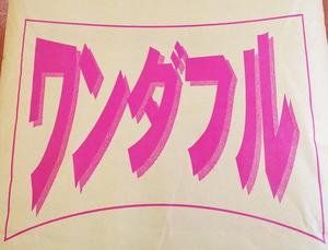 ワンダフル 25kg 小麦粉 強力粉 パン用 業務用