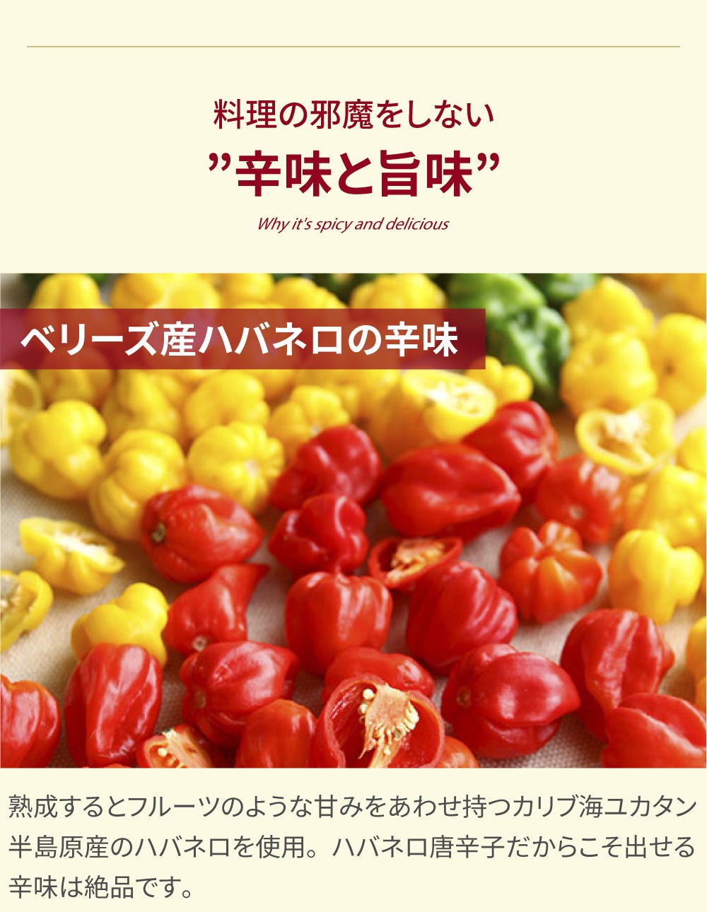 マリーシャープス ハバネロソース ビーウェアコマトスホット BewareComatoseHot 激辛 148ml