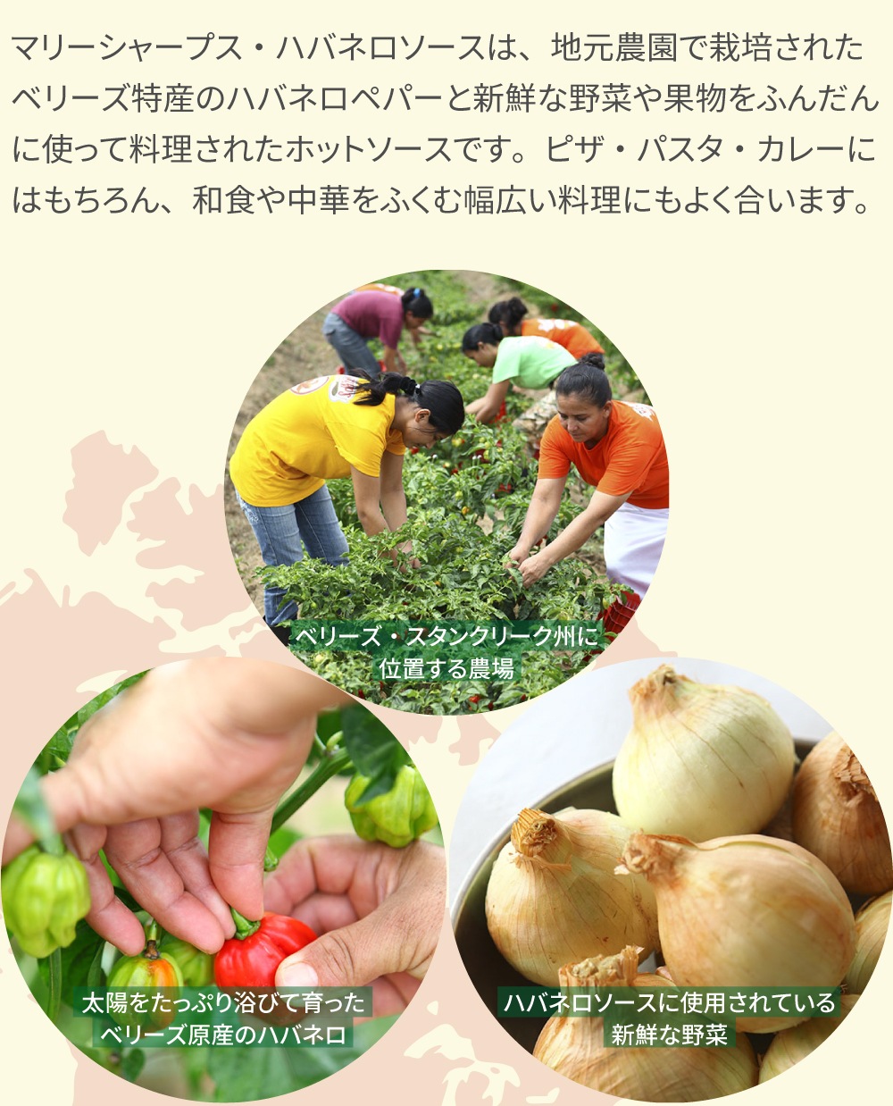マリーシャープス ハバネロソース トマトファイアリーホット TomatoFieryHot 大辛 148ml