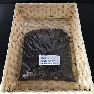 チョコチップ １kg
