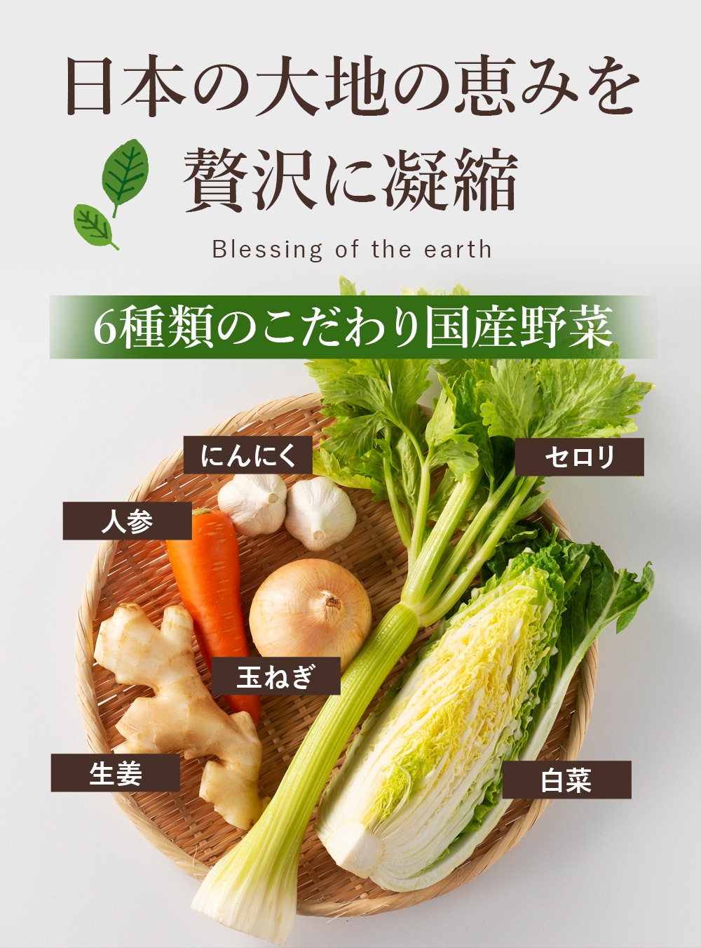 幸せ野菜だし 200g(8g×25包) 6種類の国産野菜 化学調味料 動物性原料 食品添加物 保存料 無添加 不使用 メール便 送料無料
