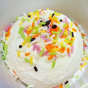 カラースプレー 500g チョコスプレー チョコレートスプレー スプレーチョコ