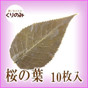 【国産】 桜の葉 樽 塩漬け 10枚
