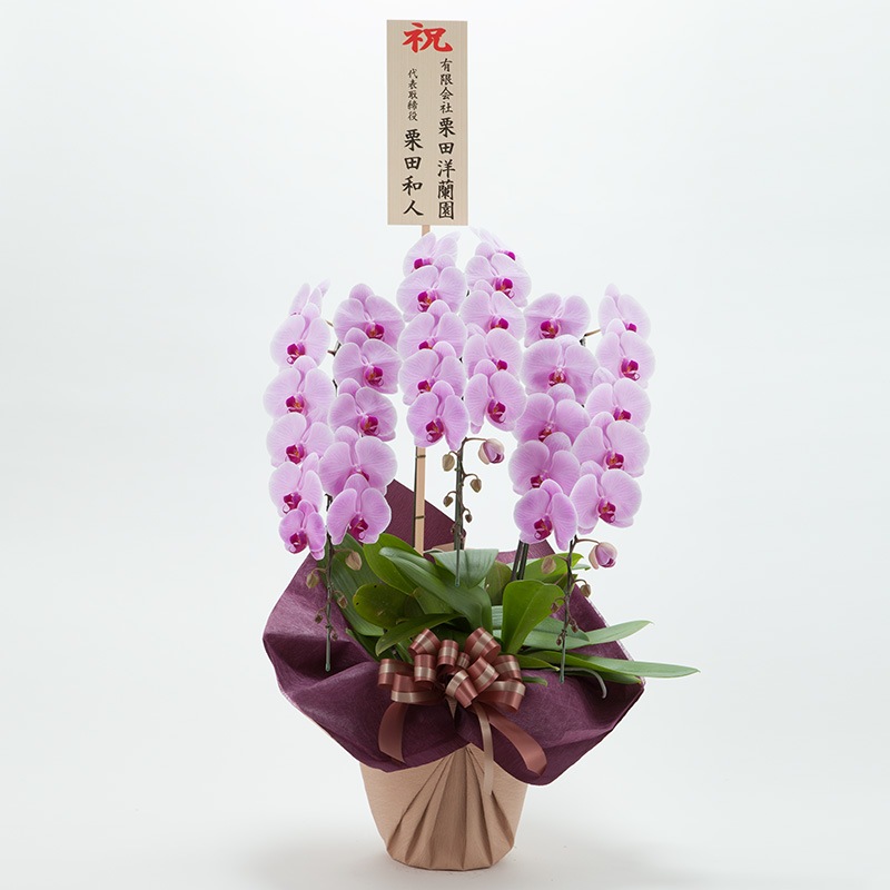 ��ĳ��3��Ω���ʥԥ󥯡�35�ء�