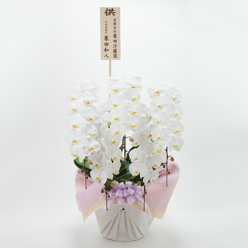 ���֡���ĳ��5��Ω�������60�ء�