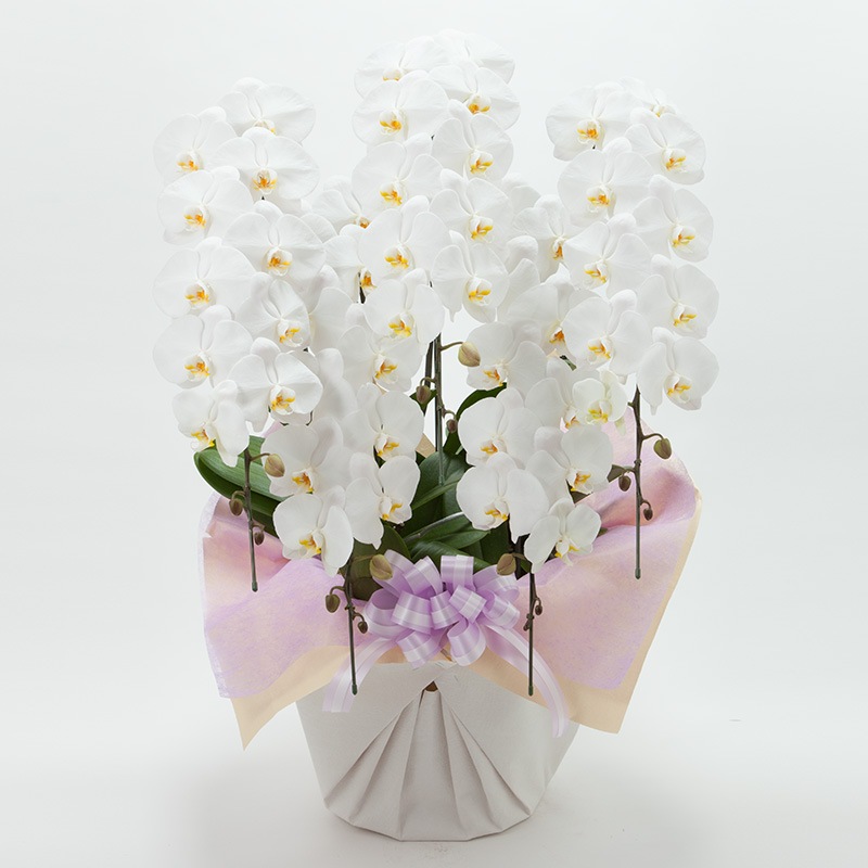 ���֡���ĳ��5��Ω�������60�ء�