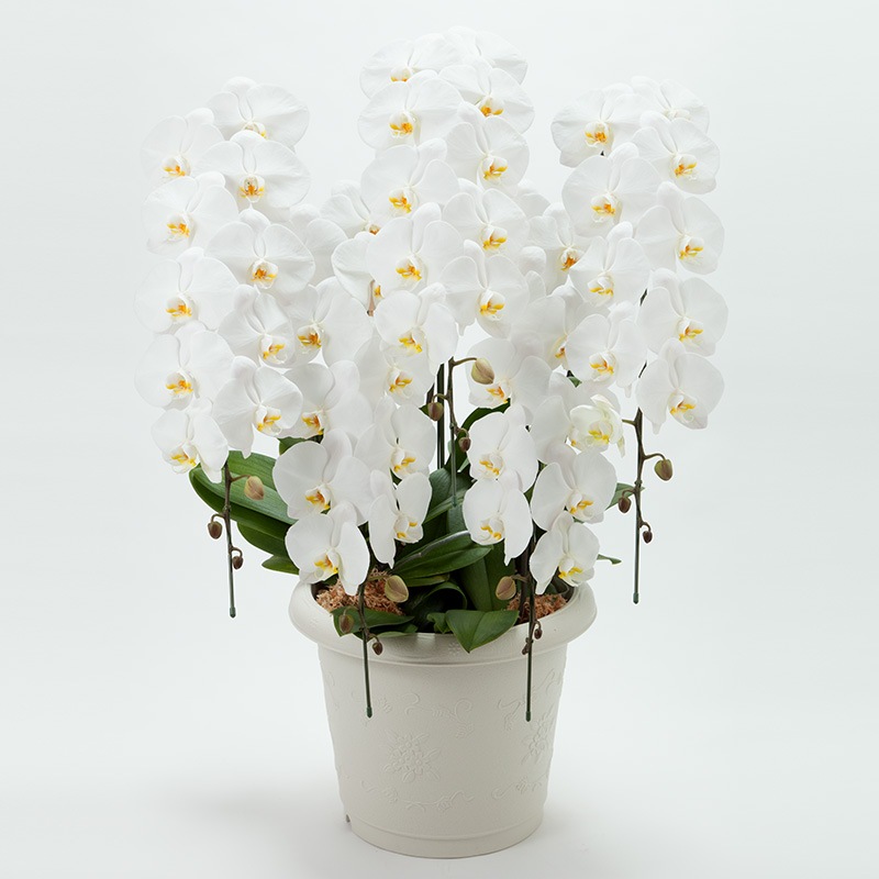 ���֡���ĳ��5��Ω�������60�ء�