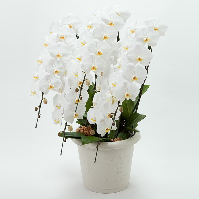 ���֡���ĳ��5��Ω�������60�ء�