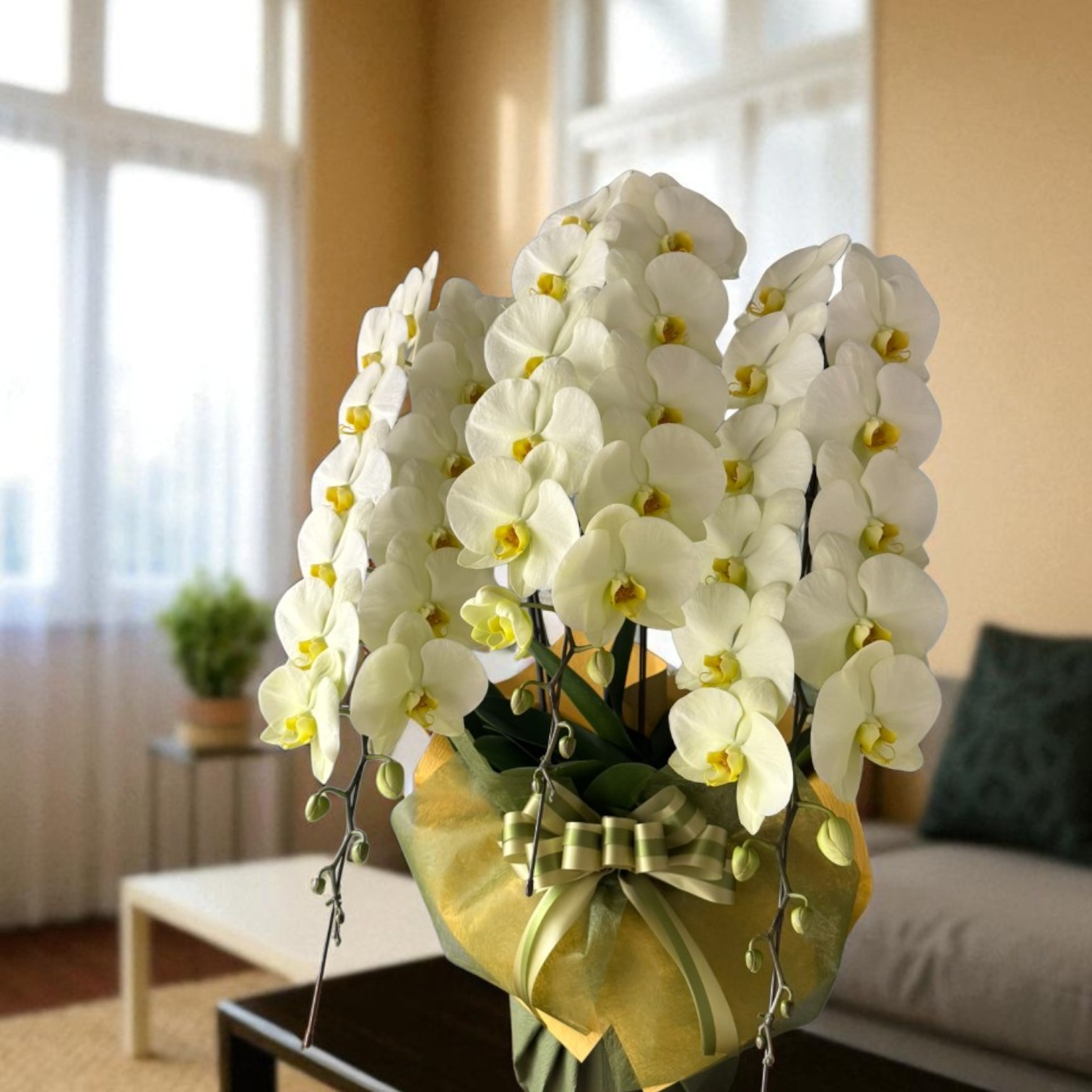 ��ĳ��3��Ω���ʲ���45�ء�