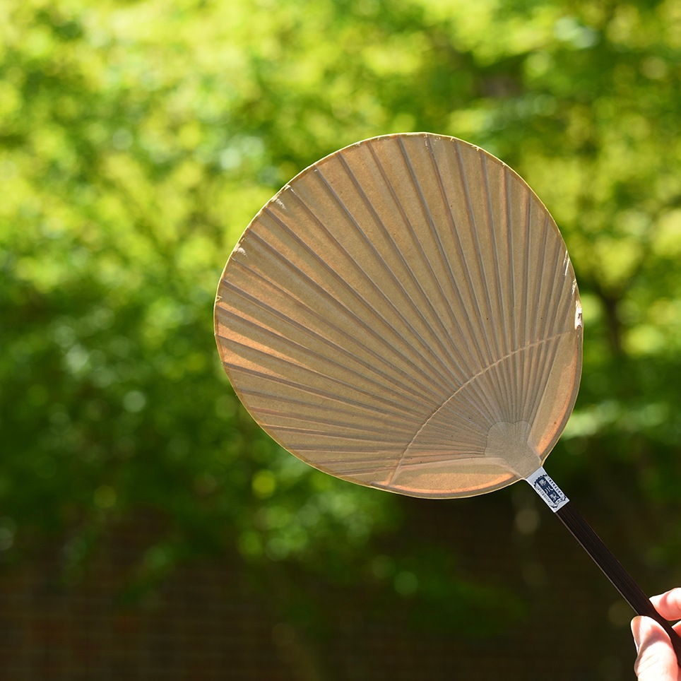 団扇仙人掌。◻️枝垂れ滝 2025年最新】オプンチア錦の人気アイテム - メルカリ