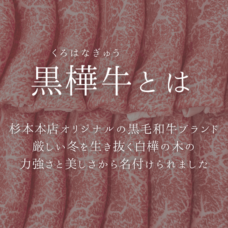 黒樺牛 ビーフカレー 5個入 | 黒樺牛ビーフカレー | 杉本本店