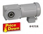 【生産終了】F3SM-55-900-T020A ニッセイ 同心中空軸ギアモータ ブレーキ無 三相200V-0.2kW|F3シリーズ中空軸|ニッセイ