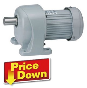 Nissei インダクションギアモーター G3LB-22-80-T020A ニッセイ GTR