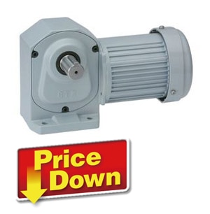 ニッセイ ギアモータ 直交軸 H2L22L5-MM02TWNTB4 脚取付 0.2kW 三相400V 標準ブレーキ付 ニッセイ GTR MID SERIES インダクションギアモータ (0.1kW～2.2kW