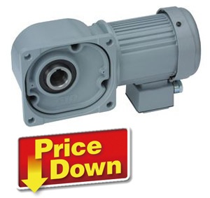 ニッセイ ギアモータ 中空軸 FS25N15-MM01TNNTN 0.1kW 三相200V 標準ブレーキ無 ニッセイ ギアモータ FS25N40ーMM01TNNNN 601640317 1台（直送品