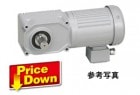 【生産終了】F3FJ-40T-25-220 ニッセイ 同心中実軸ブレーキ手動解放装置付ギアモータ 三相2.2kW|F3シリーズ中実軸|ニッセイ