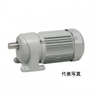 【生産終了】G3L50N450-MP08TWNTJ2 ニッセイ 中型 三相 手動解放装置付 200Vブレーキ付 脚取付 0.75kW|Gシリーズ平行軸|ニッセイ