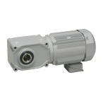 【生産終了】FS45S240-WP08TWNEV2 ニッセイ ギアモータ 中型 中空軸 三相 防水200Vブレーキ付 0.75kW